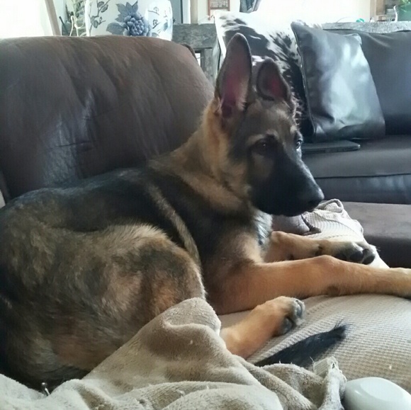 Meet your Posher, Mary - Picture 2 of 5